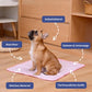 📢📢50% OFF !! ⏰🧊Premium Cooling Mat For Pet