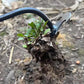 Factory direct cost price🔥Gardening Hand Weeder Tools