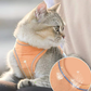 📢📢50% OFF !! ⏰One Piece Vest Leash