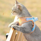 📢📢50% OFF !! ⏰One Piece Vest Leash