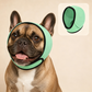 📢📢BUY 1 GET 1 FREE !! ⏰ Waterproof Dog Hoodie – Calming fit & weather‑ready ✨