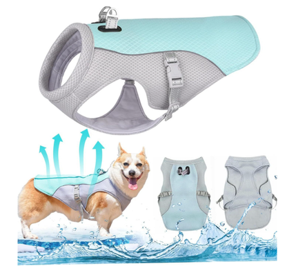 📢📢50% OFF !! ⏰🐾 Dog Summer Ice Cooling Protective Vest
