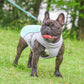 📢📢50% OFF !! ⏰🐾 Dog Summer Ice Cooling Protective Vest