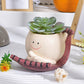 📢📢50% OFF !! ⏰💝Playful Round Planter