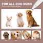 🔥30% OFF&Buy 1 Get 1 Free🔥 Quiet Electric Pet Paw Trimmer with LED Light