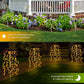 🔥2026 Hot sale & 40% OFF🔥Solar Garden Lights Outdoor Decor