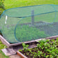 🔥 Hot sale 30% OFF🔥Pop-Up Plant Protection Mesh Cover