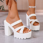 🔥40% OFF for a limited time🔥Women's Chunky Heel Platform Slide Sandals