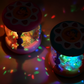 🔥 Hot sale 30% OFF🔥Ocean Projection Rotating Light-Up Musical Toy