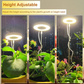 🔥 Hot sale 30% OFF🔥LED Angel Ring Plant Grow Light