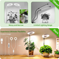 🔥 Hot sale 30% OFF🔥LED Angel Ring Plant Grow Light