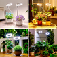 🔥 Hot sale 30% OFF🔥LED Angel Ring Plant Grow Light