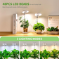🔥 Hot sale 30% OFF🔥LED Angel Ring Plant Grow Light