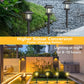 🔥 Hot sale 30%-56% OFF🔥Outdoor Waterproof Solar Pathway Light - 2 Pack/Set