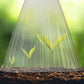 📢📢30% OFF !! ⏰20/30 PCS Clear Garden Cloche for Plants