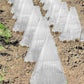 📢📢30% OFF !! ⏰20/30 PCS Clear Garden Cloche for Plants