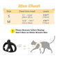 📢📢40% OFF !! ⏰Reflective Mesh Harness and Leash Set for Cats & Small Dogs