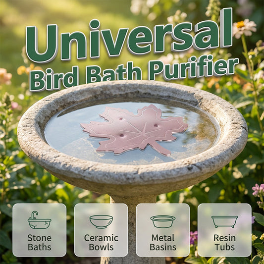 📢📢30% OFF !! ⏰Universal Fit Bird Bath Purifier