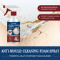 📢📢50% OFF !! ⏰Anti-Mould Cleaning Foam Spray
