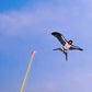 📢📢50% OFF !! ⏰Creative Children's Fishing Rod Kite Toys