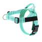 📢📢40% OFF !! ⏰Easy On-Off Padded Dog Harness for Walking