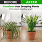 📢📢50% OFF !! ⏰Interlocking Planting Grow Rings