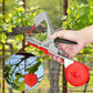 📢📢50% OFF !! ⏰🍅Plant Tying Machine🌶️