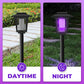 📢📢50% OFF !! ⏰Solar Bug Zapper Outdoor