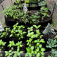 📢📢40% OFF !! ⏰Divided Fabric Grow Bags for Plants