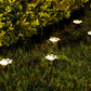 📢📢50% OFF !! ⏰Solar Paw Print Garden Lights