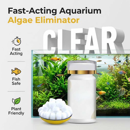 📢📢50% OFF !! ⏰Aquarium Green Water & Moss Eliminator