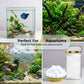 📢📢50% OFF !! ⏰Aquarium Green Water & Moss Eliminator