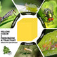 📢📢50% OFF !! ⏰Super-Sticky Double-Sided Insect Traps (20 Pack)