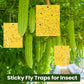 📢📢50% OFF !! ⏰Super-Sticky Double-Sided Insect Traps (20 Pack)