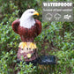 📢📢50% OFF !! ⏰Outdoor Eagle Design Solar Powered Garden Stake Light