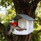 📢📢50% OFF !! ⏰Hanging House Bird Feeder for Outdoor Gardens