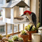 📢📢50% OFF !! ⏰Hanging House Bird Feeder for Outdoor Gardens
