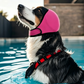 📢📢BUY 1 GET 1 FREE !! ⏰ Waterproof Dog Hoodie – Calming fit & weather‑ready ✨