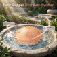 📢📢50% OFF !! ⏰Pure Copper Bird Bath Purification Disk