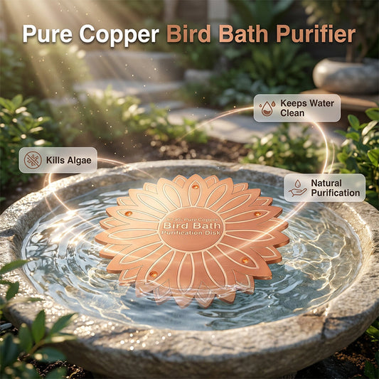 📢📢50% OFF !! ⏰Pure Copper Bird Bath Purification Disk