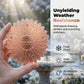 📢📢50% OFF !! ⏰Pure Copper Bird Bath Purification Disk