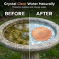 📢📢50% OFF !! ⏰Pure Copper Bird Bath Purification Disk