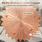 📢📢50% OFF !! ⏰Pure Copper Bird Bath Purification Disk