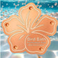 📢📢50% OFF !! ⏰Pure Copper Bird Bath Purification Disk