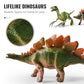 📢📢40% OFF !! ⏰Kids Fun & Educational Dinosaur Toy Kit