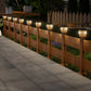 📢📢50% OFF !! ⏰Solar Powered LED Post Cap Light