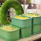 📢📢50% OFF !! ⏰Stackable Bean Sprout Grower Box