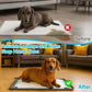 📢📢40% OFF !! ⏰Splash-Proof Silicone Pet Pad