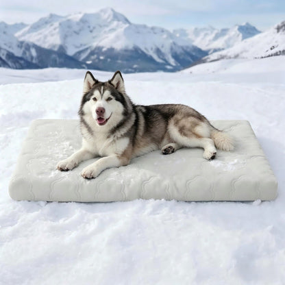 📢📢40% OFF !! ⏰Instant Cooling Pet Mat