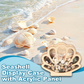 📢📢50% OFF !! ⏰Seashell Display Case with Acrylic Panel